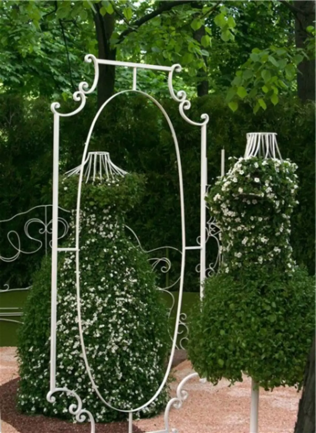 Garden Mirror: ide dekorasi (20 foto)