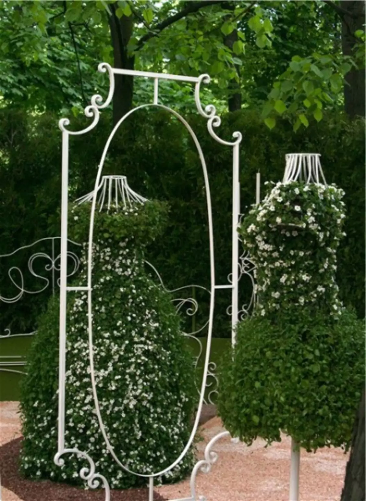 Garden Mirror: Decor Ideas (20 foto's)