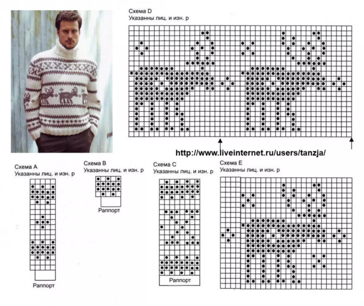 Sweater rusa jantan: pola jarum rajut dengan video dan foto