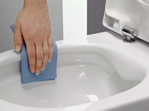 Hoe het toilet schoon te maken van het mes met zelfgemaakte