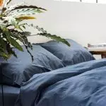 [צמחים בבית] אילו פרחים מתאימים לחדר השינה?