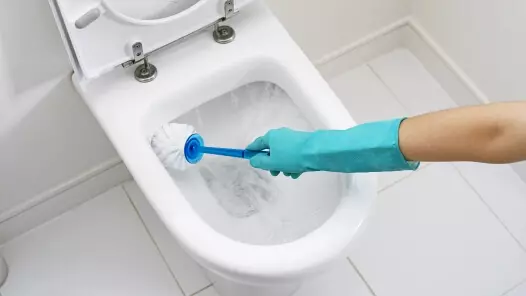 Como limpar o banheiro da placa e ferrugem