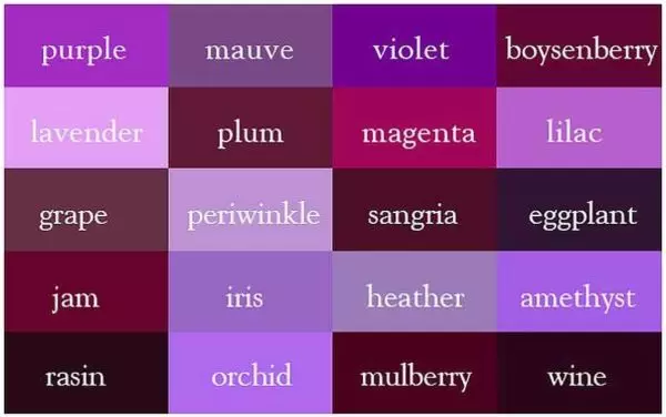 内部的紫色是什么